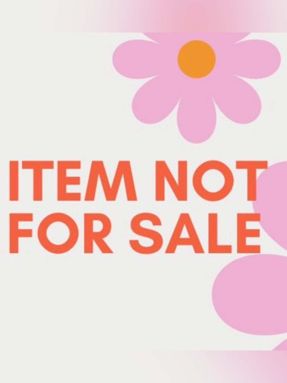 SOLD  Pet Shop Poodle